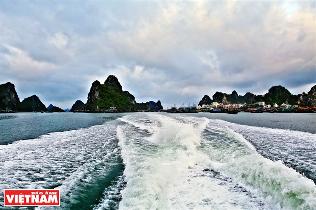 姑苏岛——吸引游客前来避暑休闲 的理想之地 ảnh 3 姑苏岛——吸引游客前来避暑休闲 的理想之地 ảnh 3