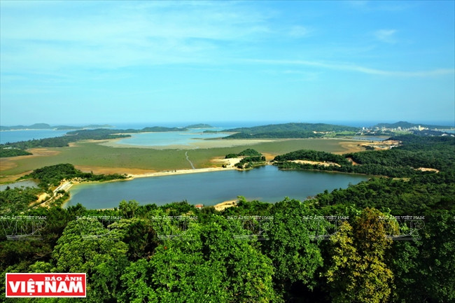 姑苏岛——吸引游客前来避暑休闲 的理想之地 ảnh 9 姑苏岛——吸引游客前来避暑休闲 的理想之地 ảnh 9