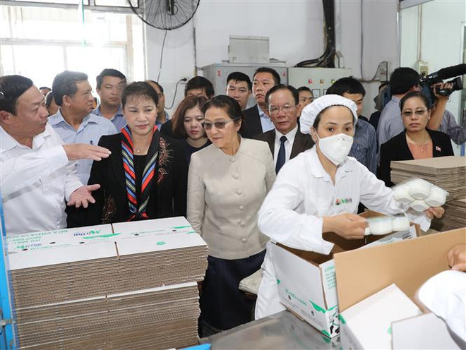 越老两国国会主席前往西进52号团历史遗迹区敬香 ảnh 3