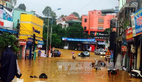 莱州持续强雨已造成巨大经济损失 ảnh 1 莱州持续强雨已造成巨大经济损失 ảnh 1