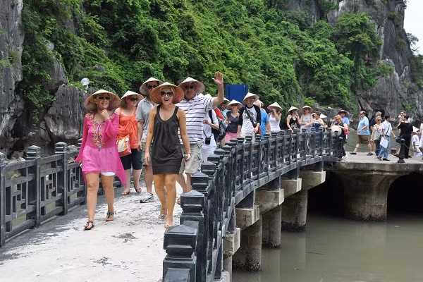 寻找措施 认真分析 提高旅游推介工作效率 ảnh 1