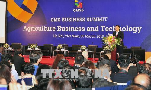 GMS6和CLV 10：高科技农业为促进GMS区域经济增长注入新活力 ảnh 1