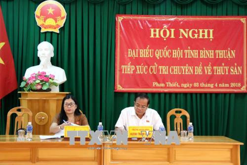 平顺省采取措施阻止渔船非法侵入他国领海进行捕捞的行为 ảnh 1 平顺省采取措施阻止渔船非法侵入他国领海进行捕捞的行为 ảnh 1