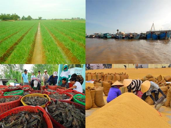 2018年第一季度越南朔庄省经济发展呈现出积极信号 ảnh 1 2018年第一季度越南朔庄省经济发展呈现出积极信号 ảnh 1