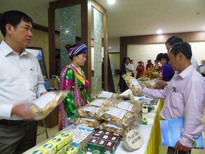 “河江色彩”亮相九龙江平原 ảnh 2