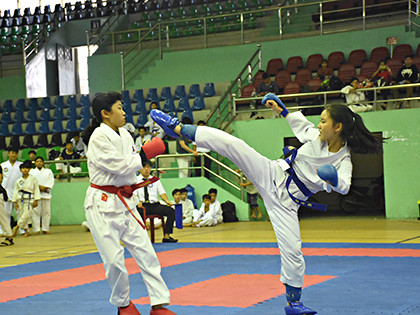 2018年第一届越南南部空手道锦标赛在后江省精彩开幕 ảnh 1