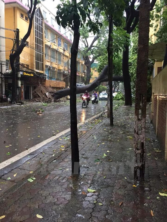 未来24小时热带低压有可能增强为台风 ảnh 1 未来24小时热带低压有可能增强为台风 ảnh 1