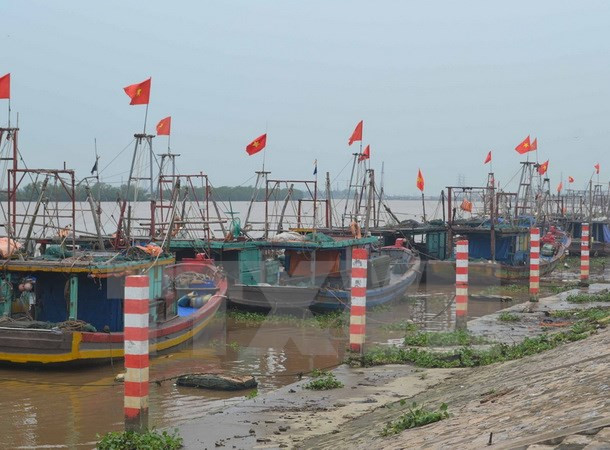 越南政府副总理郑廷勇:在台风应对工作中千万不能主观和被动 ảnh 1 越南政府副总理郑廷勇:在台风应对工作中千万不能主观和被动 ảnh 1