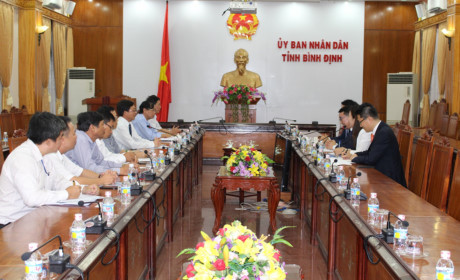 韩国希杰集团拟在平定省投资兴建若干项目 ảnh 1 韩国希杰集团拟在平定省投资兴建若干项目 ảnh 1