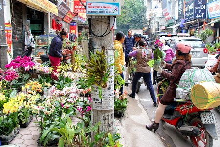 河内别具特色的柚集市 ảnh 1 河内别具特色的柚集市 ảnh 1