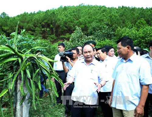 阮春福总理:乂安省应着力更新思维方式 谋划经济社会发展 ảnh 2 阮春福总理:乂安省应着力更新思维方式 谋划经济社会发展 ảnh 2