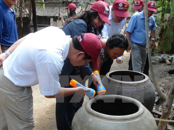 越南各地加强登革热防范工作 ảnh 1 越南各地加强登革热防范工作 ảnh 1