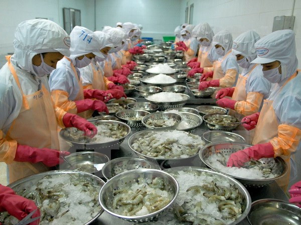 2016上半年越南对中国水产品出口额达3.84亿美元 ảnh 1