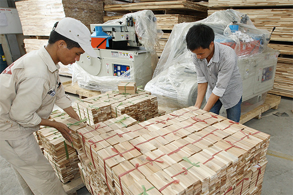 中国和美国超越老挝成为越南最大木材出口国 ảnh 1 中国和美国超越老挝成为越南最大木材出口国 ảnh 1