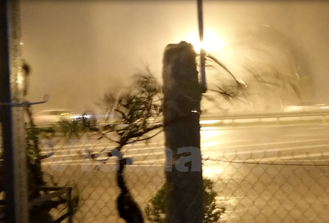 越南政府领导视察台风防范应对工作 ảnh 1 越南政府领导视察台风防范应对工作 ảnh 1