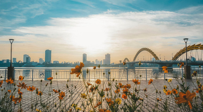 越南旅游:通过直播节目探索岘港市特色美食 ảnh 2 越南旅游:通过直播节目探索岘港市特色美食 ảnh 2