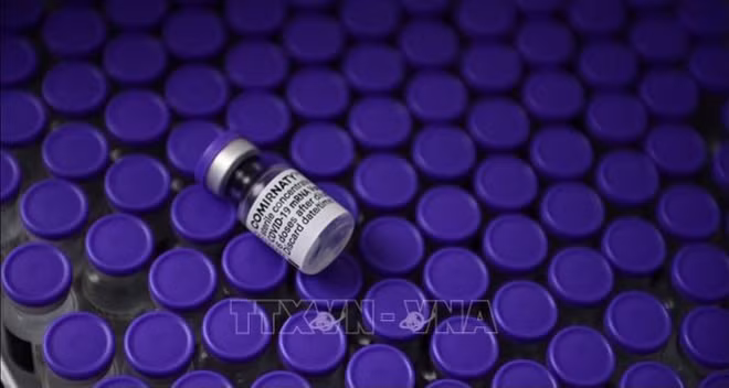 870万剂疫苗将于7月份运抵越南 ảnh 1