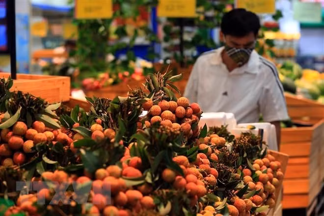 2021年前6月越南果蔬出口额增长17.4% ảnh 1