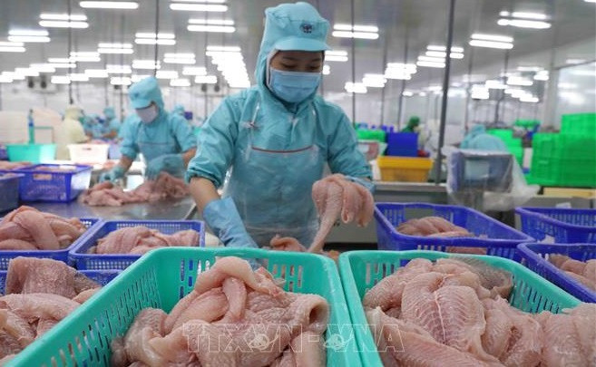 越南力争实现2021年农林水产品出口额达450亿美元的目标 ảnh 2 越南力争实现2021年农林水产品出口额达450亿美元的目标 ảnh 2