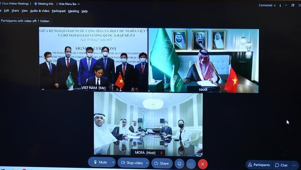 签字仪式场景 图自越通社 越南外交部与沙特阿拉伯外交部签署有关建立政治磋商制度的谅解备忘录 ảnh 1