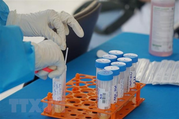 7月4日中午越南新增新冠肺炎确诊病例260例 新增死亡病例2例 ảnh 1 7月4日中午越南新增新冠肺炎确诊病例260例 新增死亡病例2例 ảnh 1