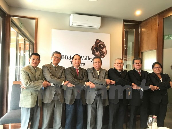 越南成功举办东盟委员会在南非的活动 ảnh 1