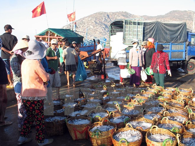 海洋经济发展是越挪优先合作领域之一 ảnh 1