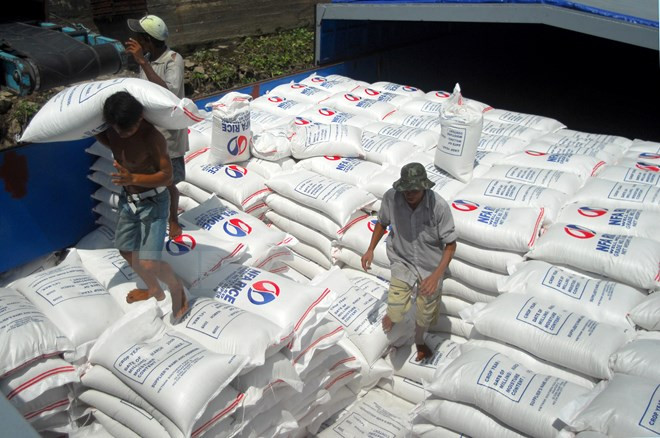 越南大米企业凝心聚力促发展打造特色创品牌 ảnh 1 越南大米企业凝心聚力促发展打造特色创品牌 ảnh 1