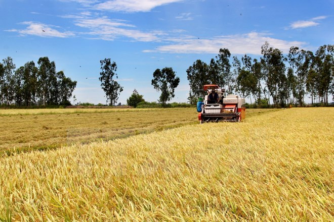 智能农业发展需适应气候变化 ảnh 1