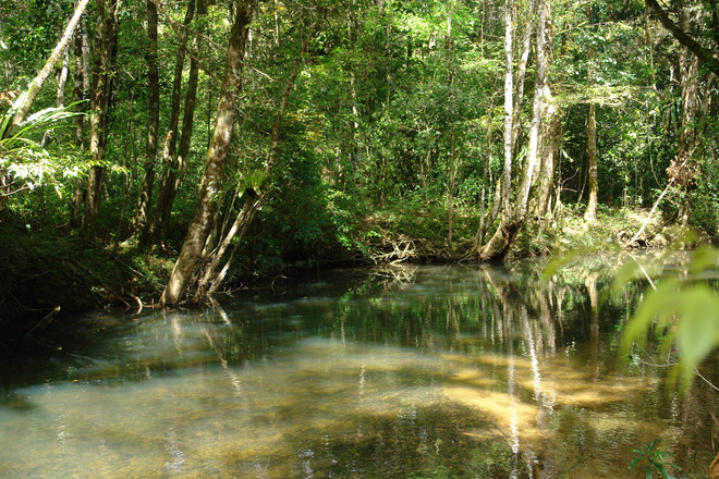 越南有关生物多样性保护的法律实施现状与对策 ảnh 1 越南有关生物多样性保护的法律实施现状与对策 ảnh 1