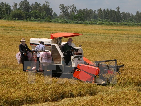 朝鲜对外经济部工作代表团赴后江省考察了解和寻找投资商机 ảnh 1 朝鲜对外经济部工作代表团赴后江省考察了解和寻找投资商机 ảnh 1