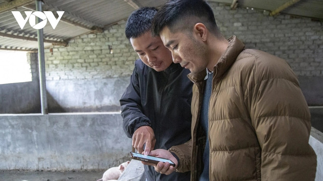 信息技术工程师及其4.0农场管理 ảnh 1 信息技术工程师及其4.0农场管理 ảnh 1