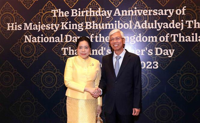 胡志明市承诺为越泰关系作出贡献 ảnh 1