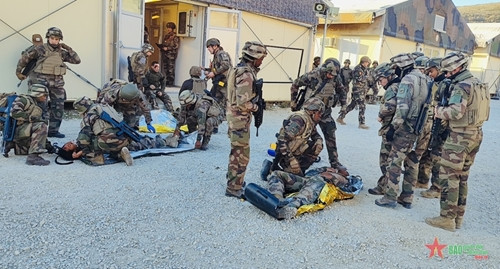 推动越法在联合国维和行动中的合作 ảnh 2