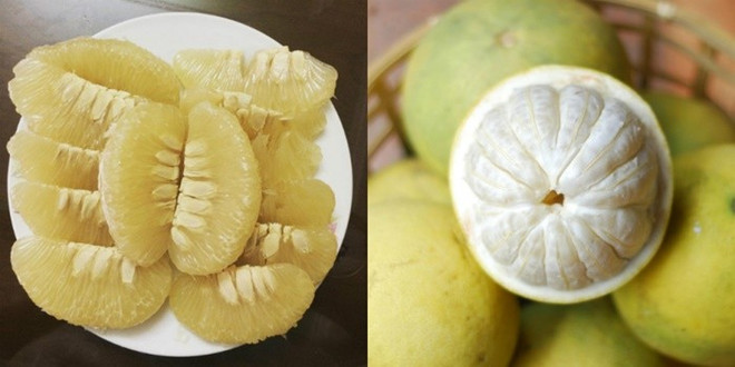 越南富寿省端雄柚子喜获丰收 受到消费者的青睐 ảnh 1 越南富寿省端雄柚子喜获丰收 受到消费者的青睐 ảnh 1