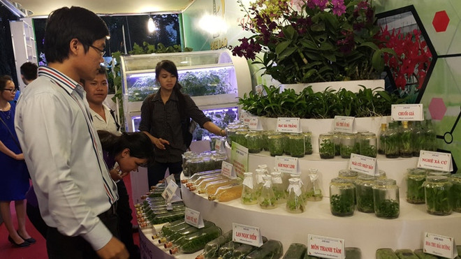 2015越南高科技农业与食品工业展览会吸引近150家企业参加 ảnh 1 2015越南高科技农业与食品工业展览会吸引近150家企业参加 ảnh 1