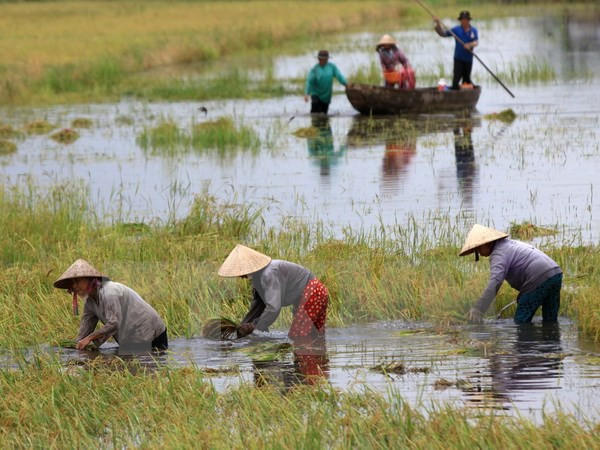 题为“气候变化的影响及其应对措施”研讨会在兴安省举行 ảnh 1 题为“气候变化的影响及其应对措施”研讨会在兴安省举行 ảnh 1