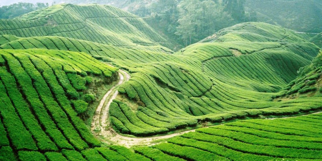 前往木州高原度周末 ảnh 1