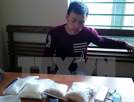 越南与老加强合作打击跨境毒品犯罪 ảnh 1 越南与老加强合作打击跨境毒品犯罪 ảnh 1