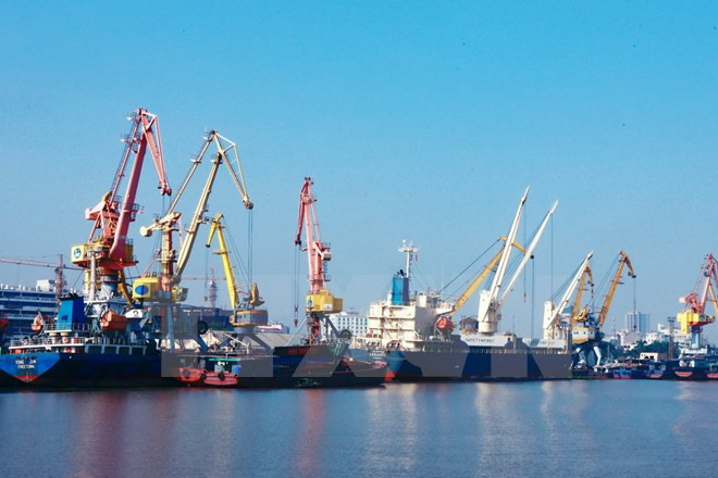 海防港货物吞吐量达近3000万吨 ảnh 1 海防港货物吞吐量达近3000万吨 ảnh 1