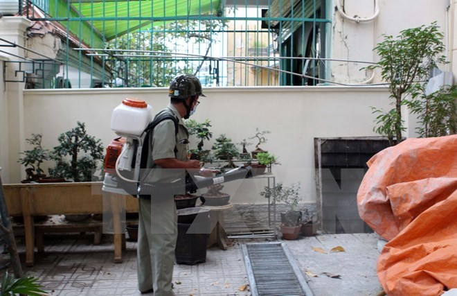 胡志明市共发现9例孕妇感染寨卡病毒病例 ảnh 1