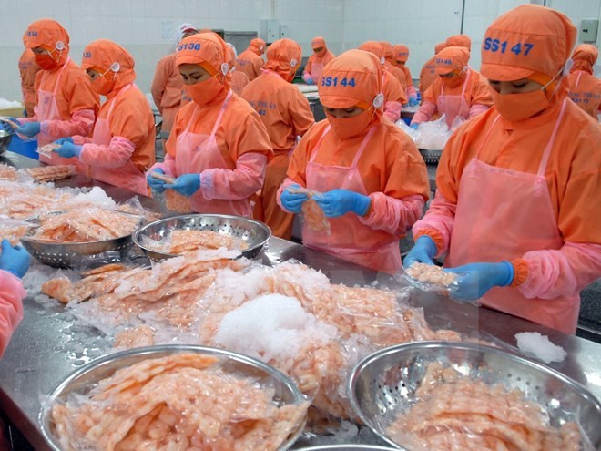 今年前11月越南水产品出口额达64亿美元 ảnh 1 今年前11月越南水产品出口额达64亿美元 ảnh 1