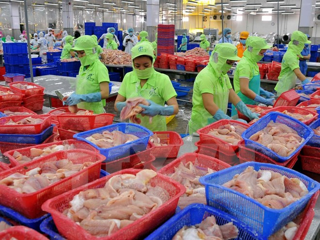 越南对中国的水产品出口额猛增 ảnh 1