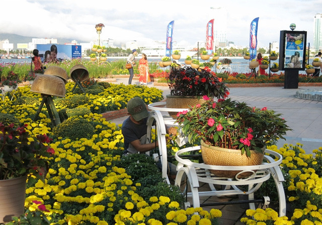 岘港国际花卉节：花卉创意艺术作品亮相 ảnh 1