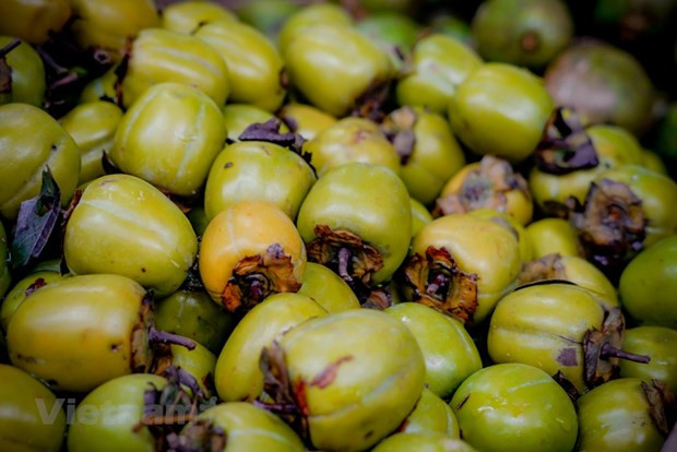 具有独特的韵味、有甜美、也有靓丽的河内秋季 ảnh 2 具有独特的韵味、有甜美、也有靓丽的河内秋季 ảnh 2