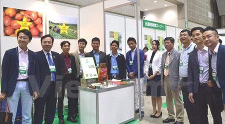 越南林同省企业商品进入日本市场 ảnh 1