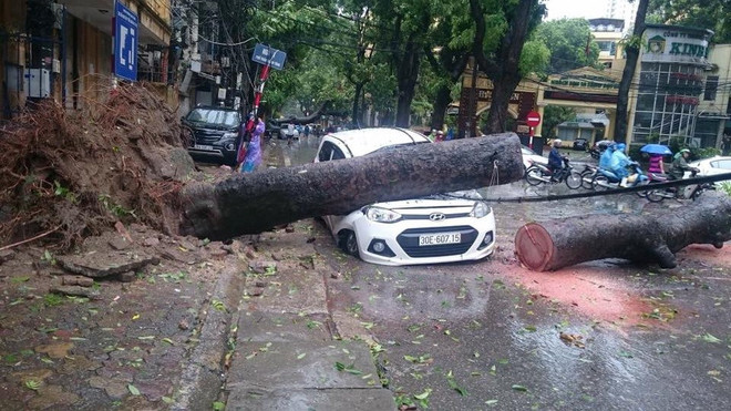 今年第一场台风登陆越南北部各地采取措施开展台风抗灾救灾工作 ảnh 1 今年第一场台风登陆越南北部各地采取措施开展台风抗灾救灾工作 ảnh 1