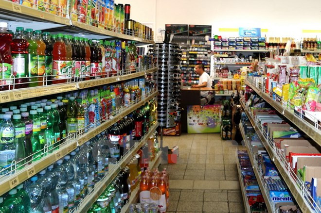 旅居捷克越南人积极融入当地主流社会 ảnh 1