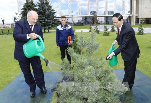 国家主席陈大光与白俄罗斯总统亚历山大·卢卡申科举行会谈 ảnh 5 国家主席陈大光与白俄罗斯总统亚历山大·卢卡申科举行会谈 ảnh 5