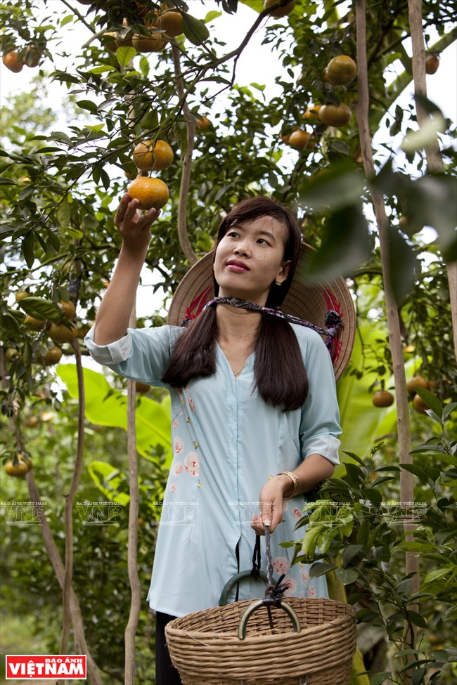 莱翁红橘王国 ảnh 9